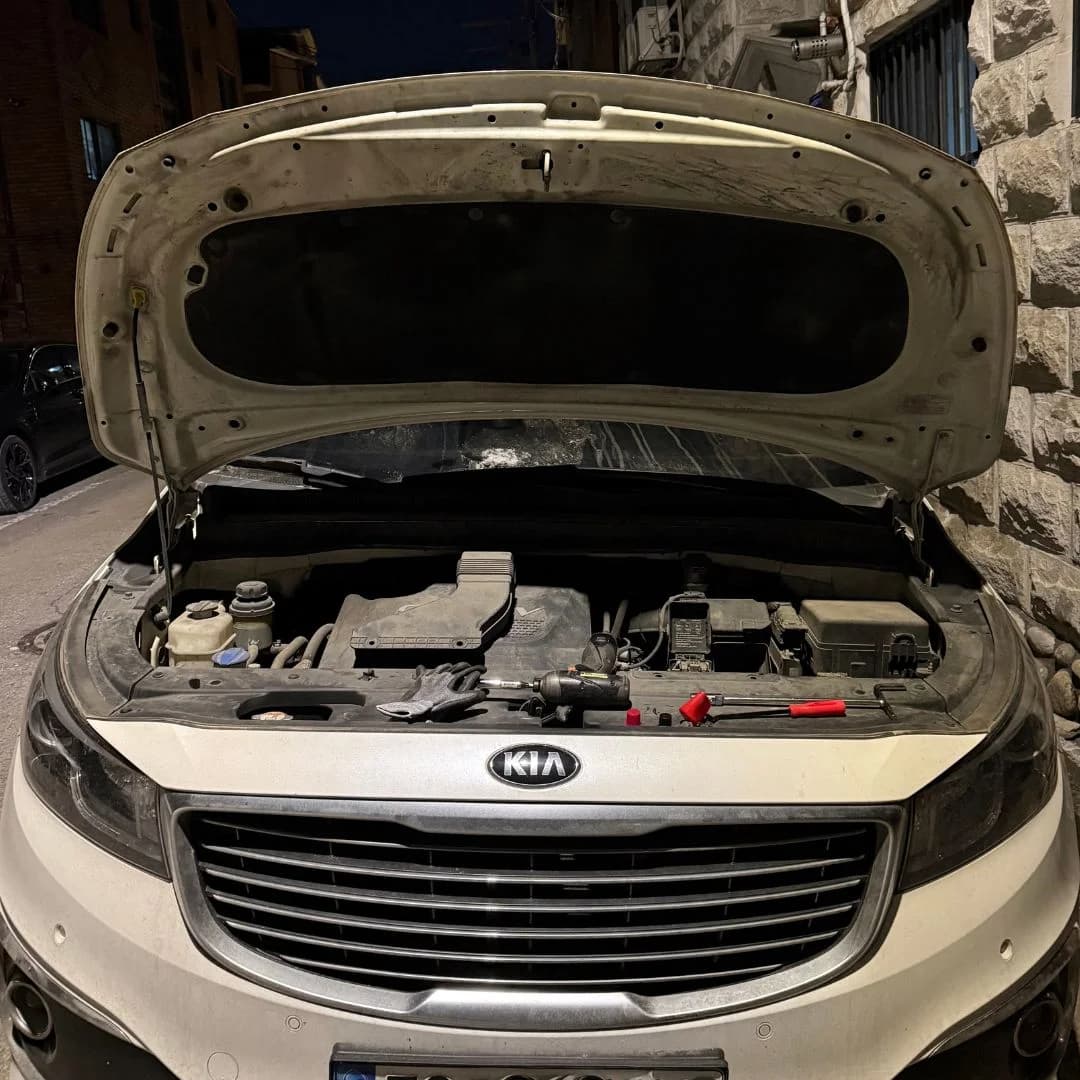 올뉴카니발 박상*님