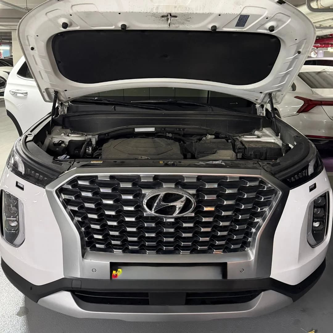 팰리세이드 20년식 이승*님